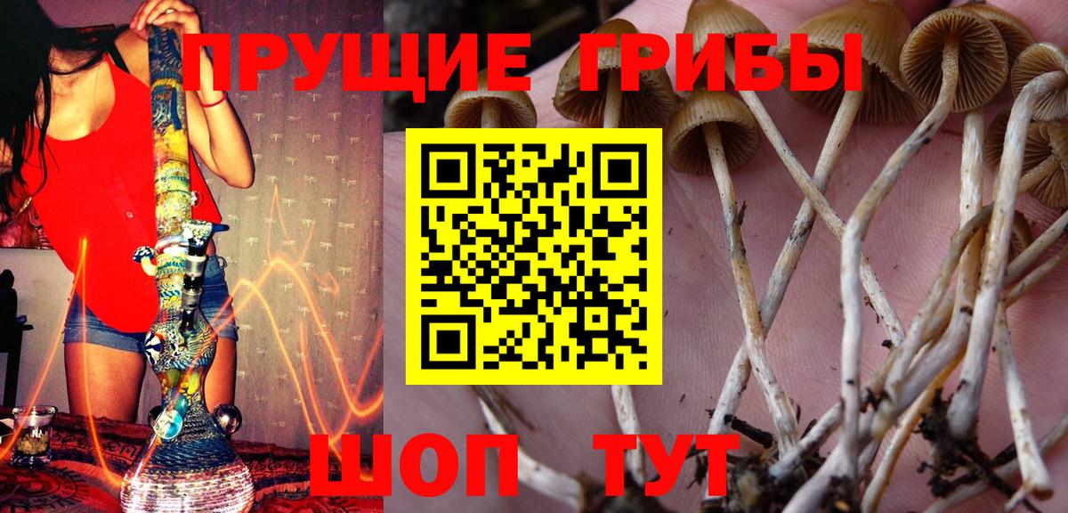 Воскресенск  Галлюциногенные грибы MAGIC MUSHROOMS  Вход с VPN 